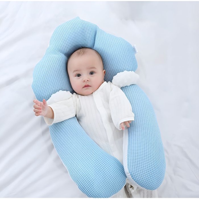 Pillow Blue