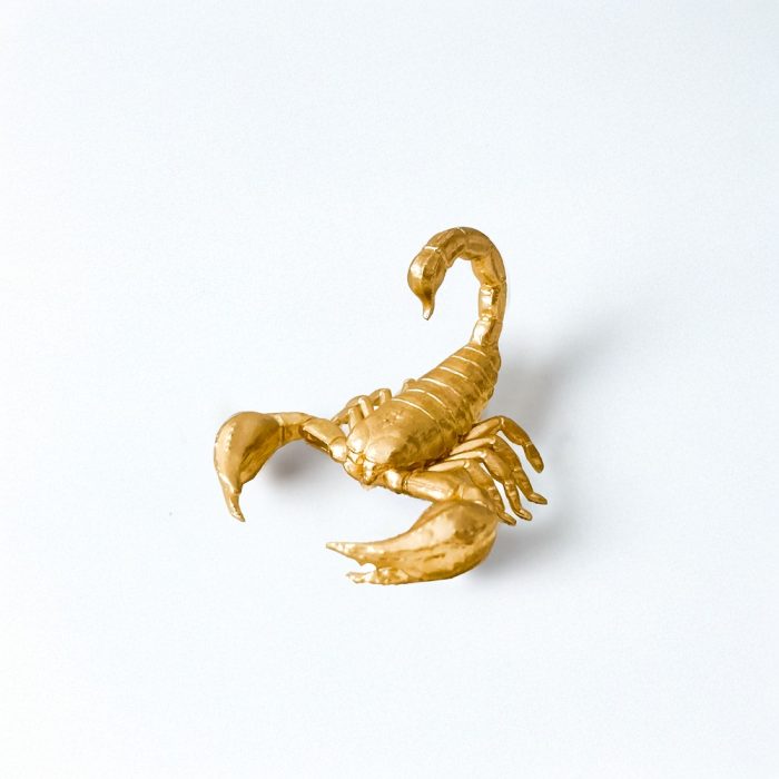 PUMPKINS HOME Gold Scorpion Figurine Home Decor, Solid Metal Scorpion Centerpiece Decoration, Mini Insect Ornament Animal Desk Figurines for Home Office Desktop