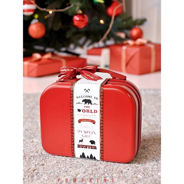 PUMPKINS Adorable Premium Newborn Baby Gift Set for Boys in a Stylish Suitcase - 9 in 1